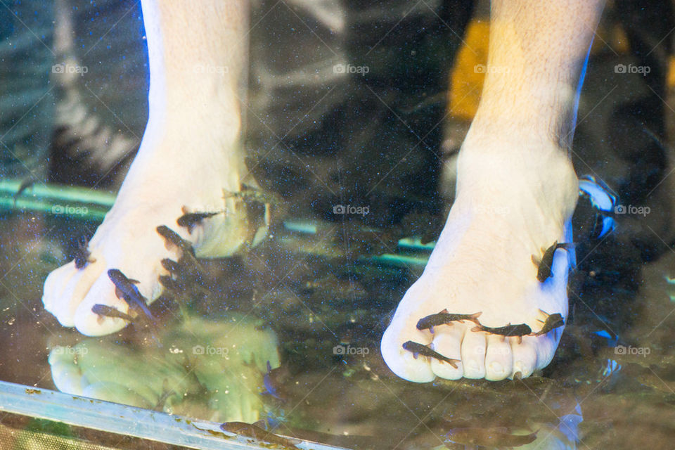 Fish eating feet 