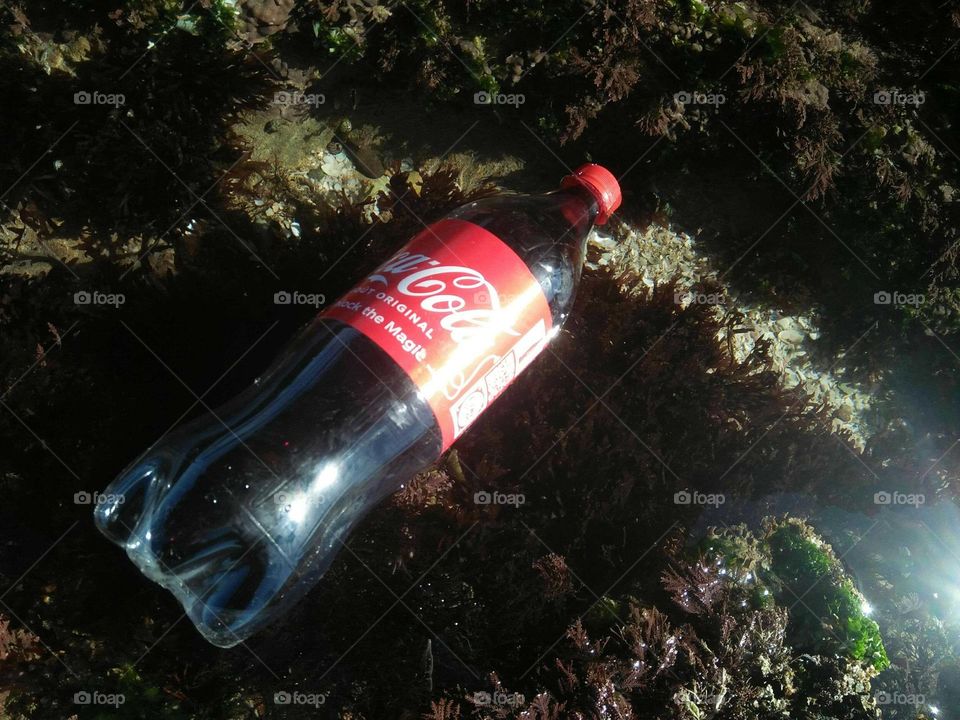 Sweety cocacola on rock at essaouira beach in Morocco.