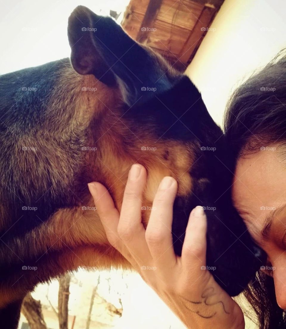 Love and connection between a pet and its owner.