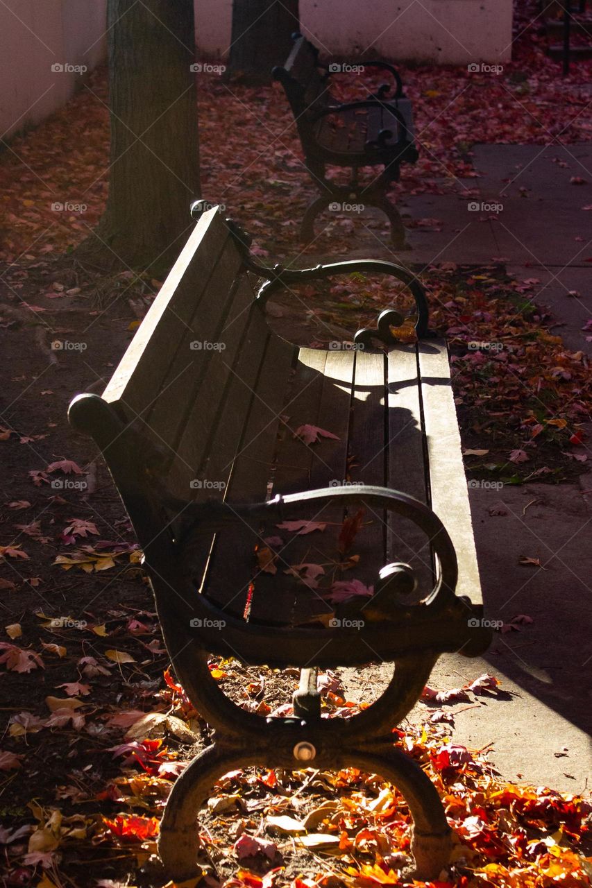 An iron and wooden park bench slightly shadowed surrounded by fallen leaves during autumn in New England.