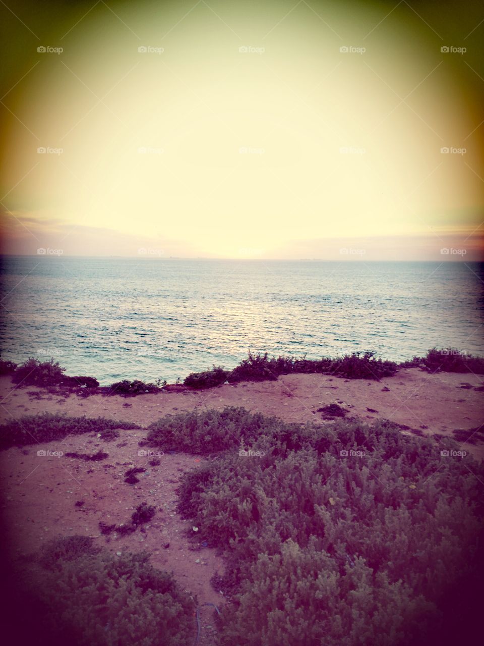 grass,view,sea,sunset