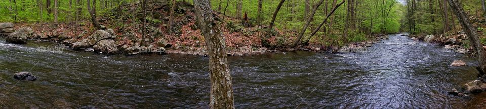Panoramic View of a River in Springtime 