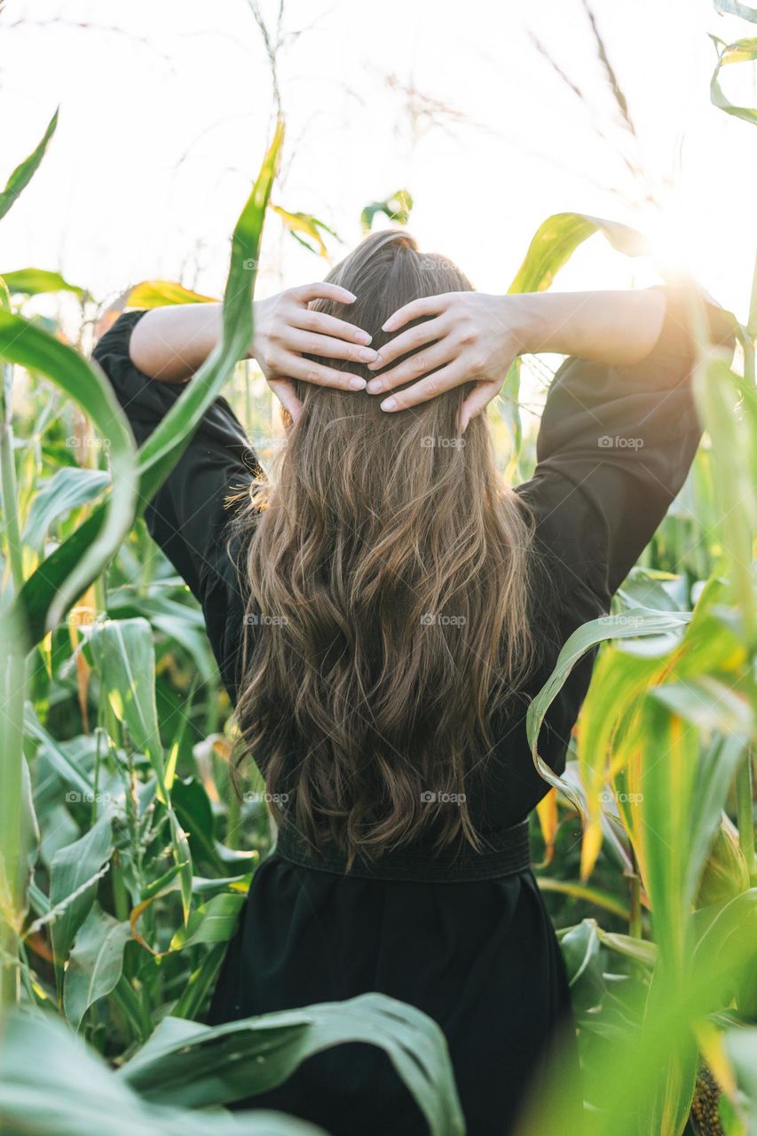 Young beautiful carefree long hair woman in black dress in sunset corn field. Sensitivity to nature concept