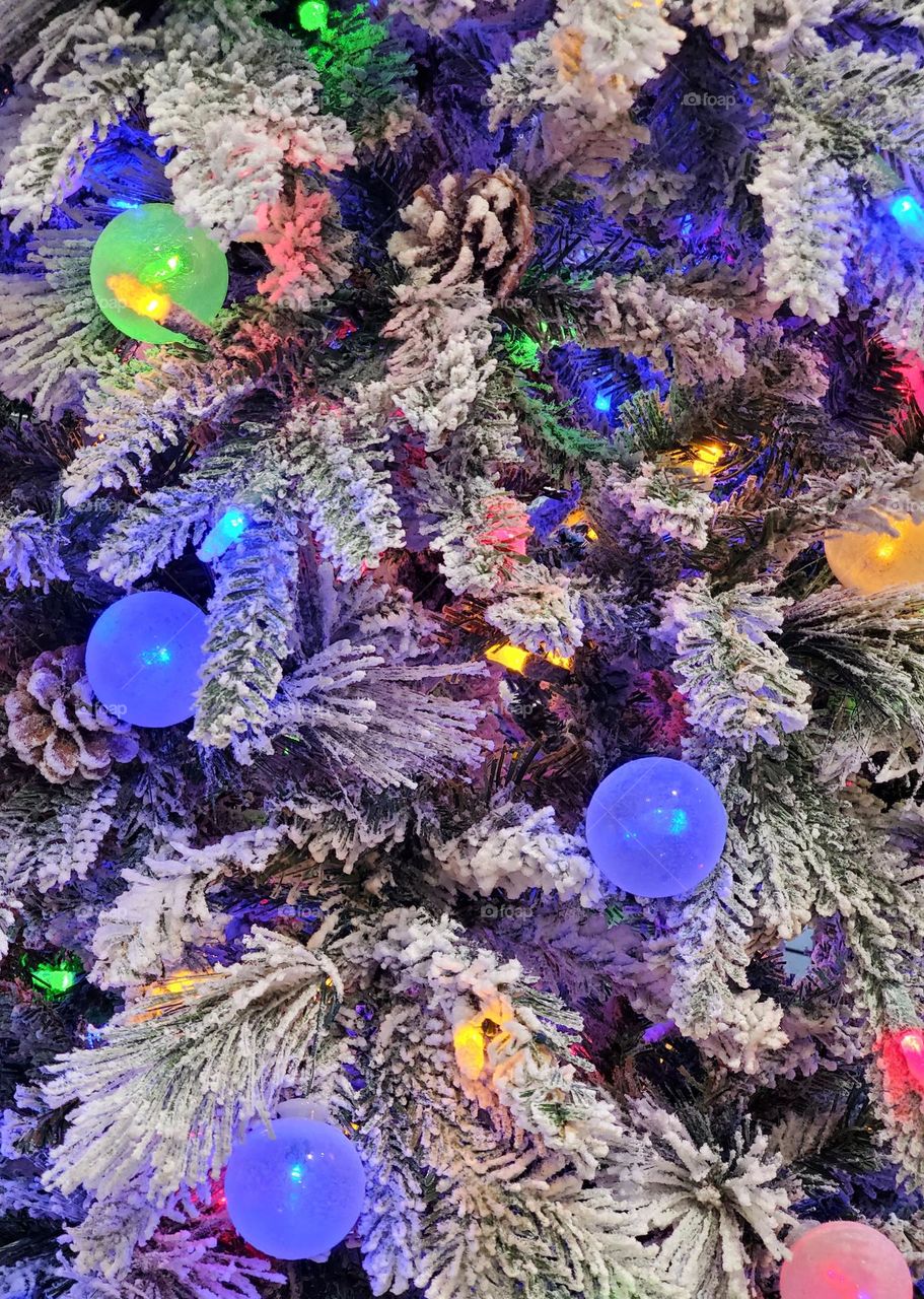 Christmas Tree of Snow and Lights