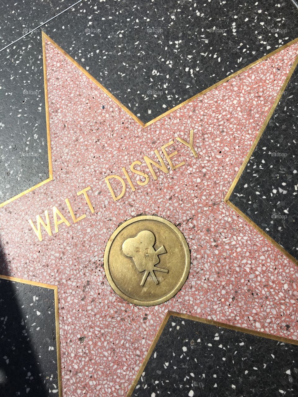 Walt the legend