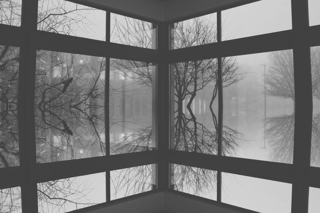 Window