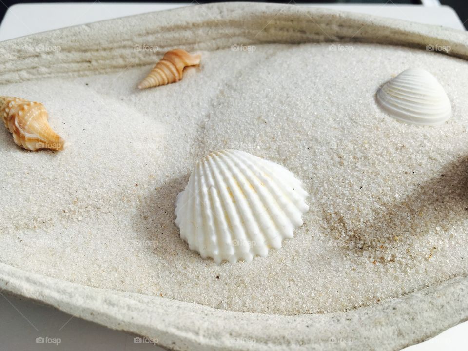 Seashell on sand