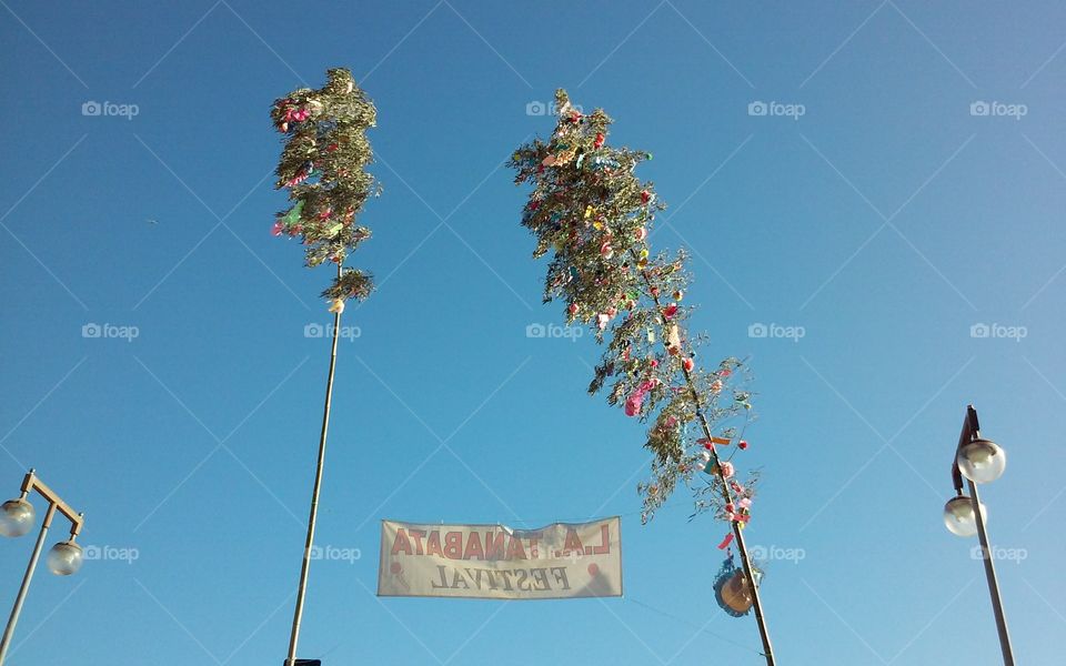 Sky, Outdoors, No Person, Tree, Blue Sky