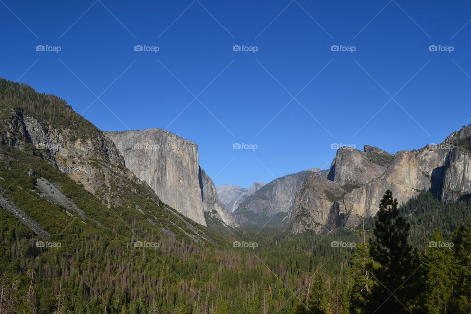Yosemite mountain range