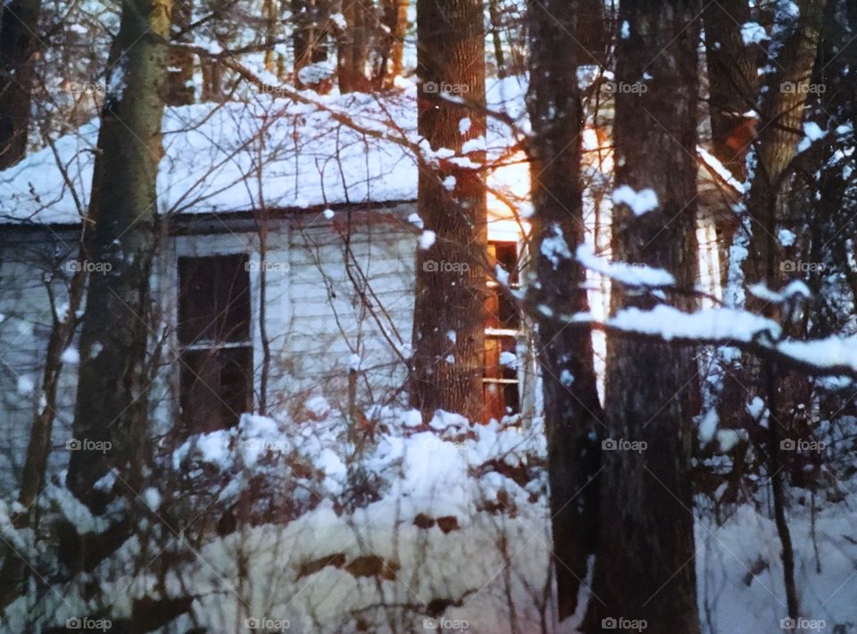 House in the woods during winter
