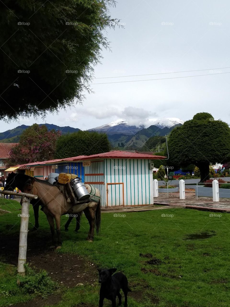 Detras el Nevado del Ruiz Colombia