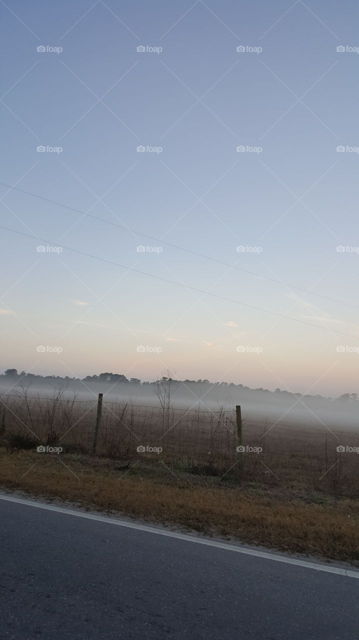 Foggy Morning Drive and Field