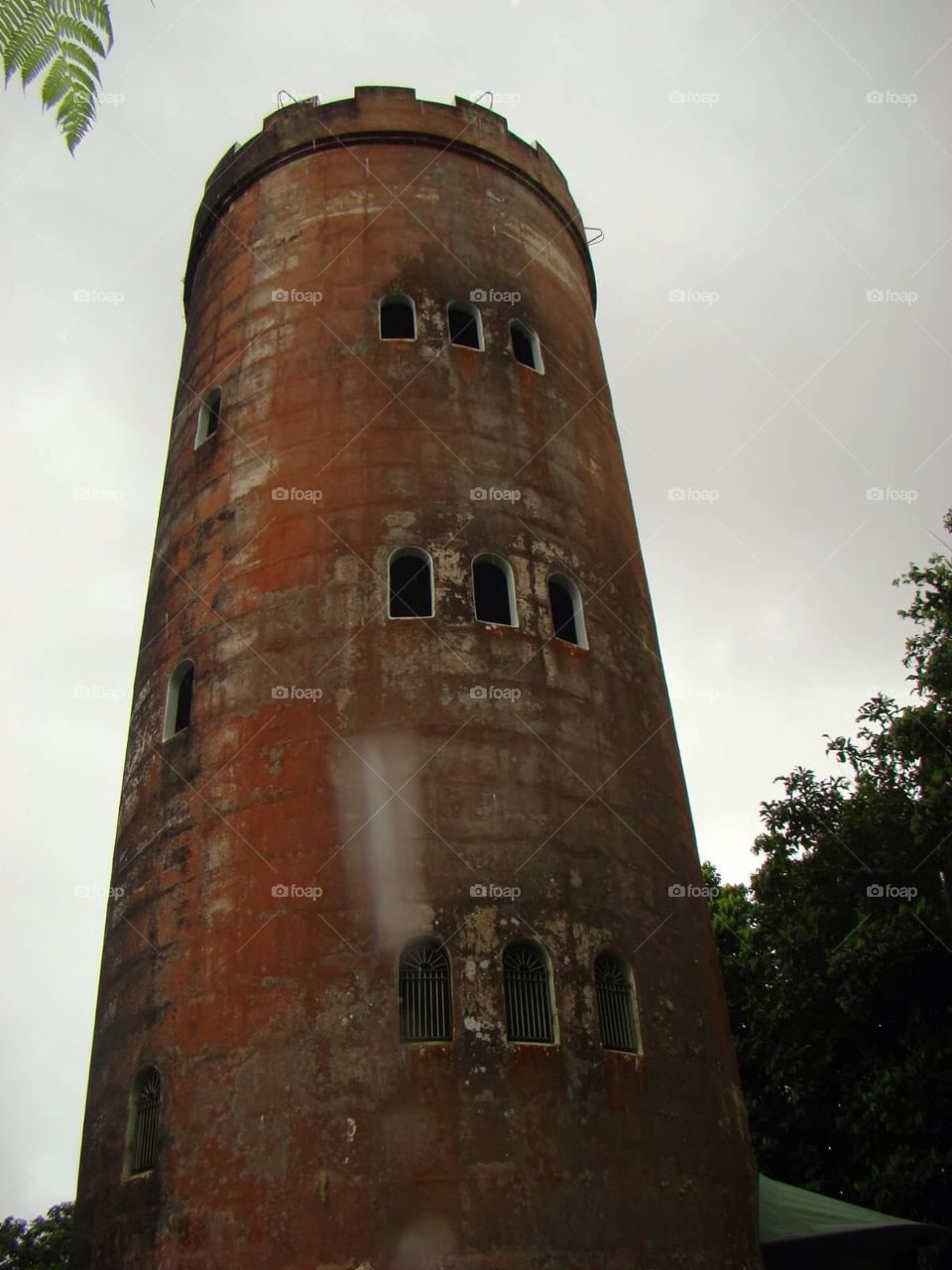 Old tower. Old tower located in a rain forest in Puerto Rico