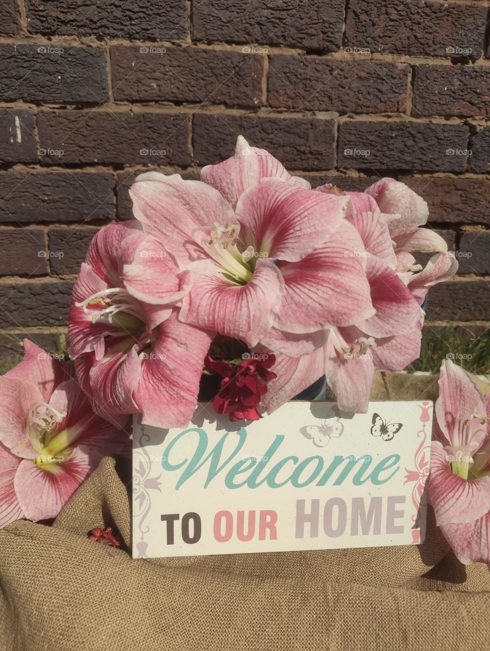 Welcome To Our Home, Flower bouquet