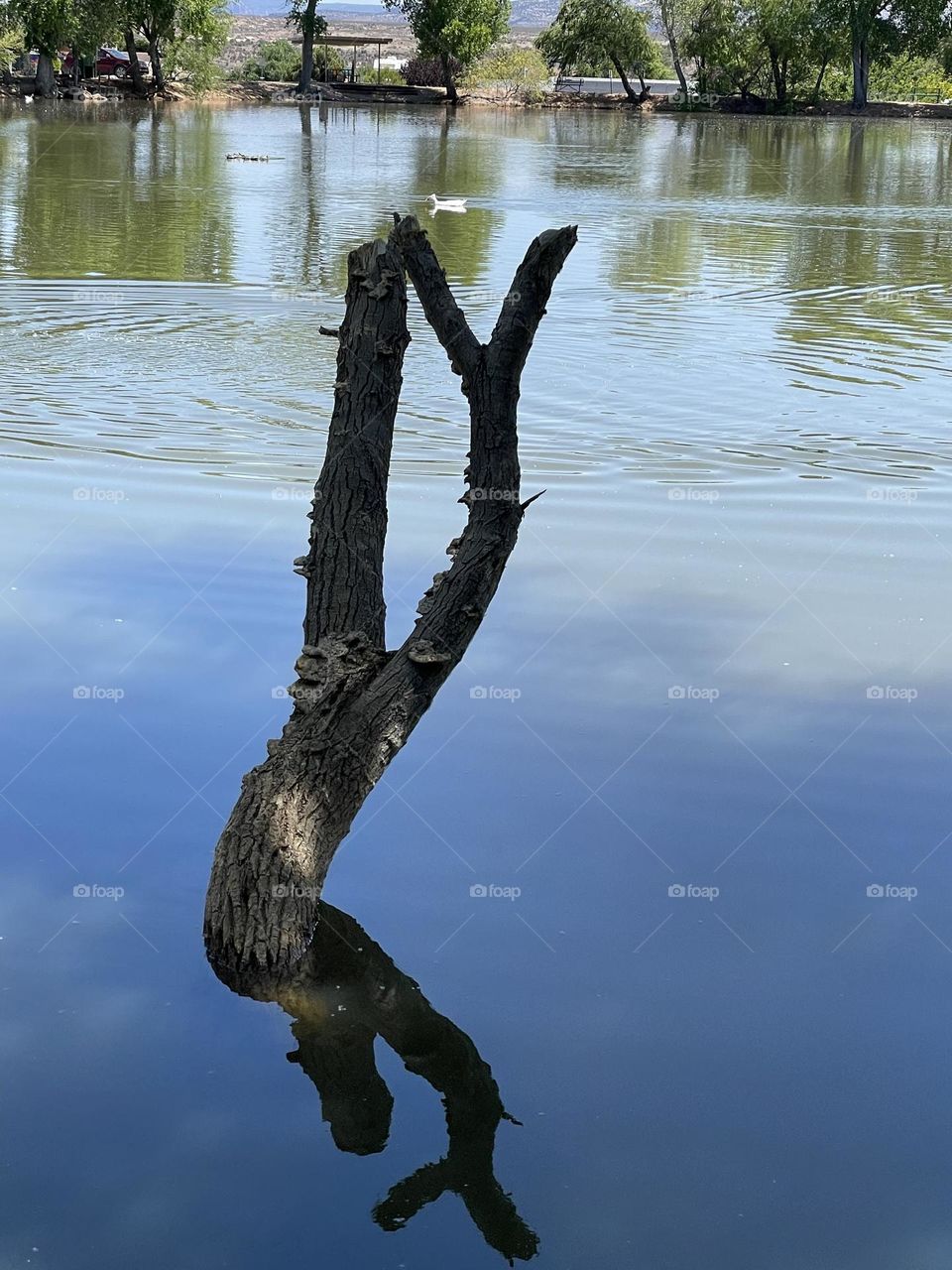 Yoga meditation poses 