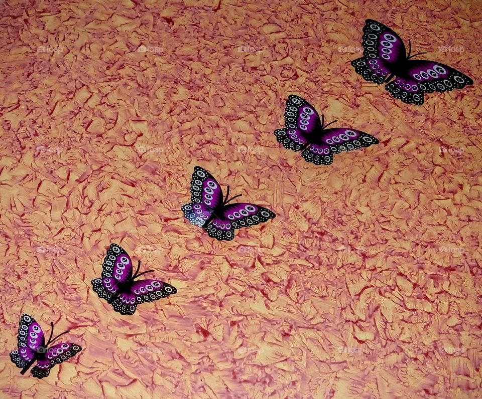 Wall Decorating Butterflies..