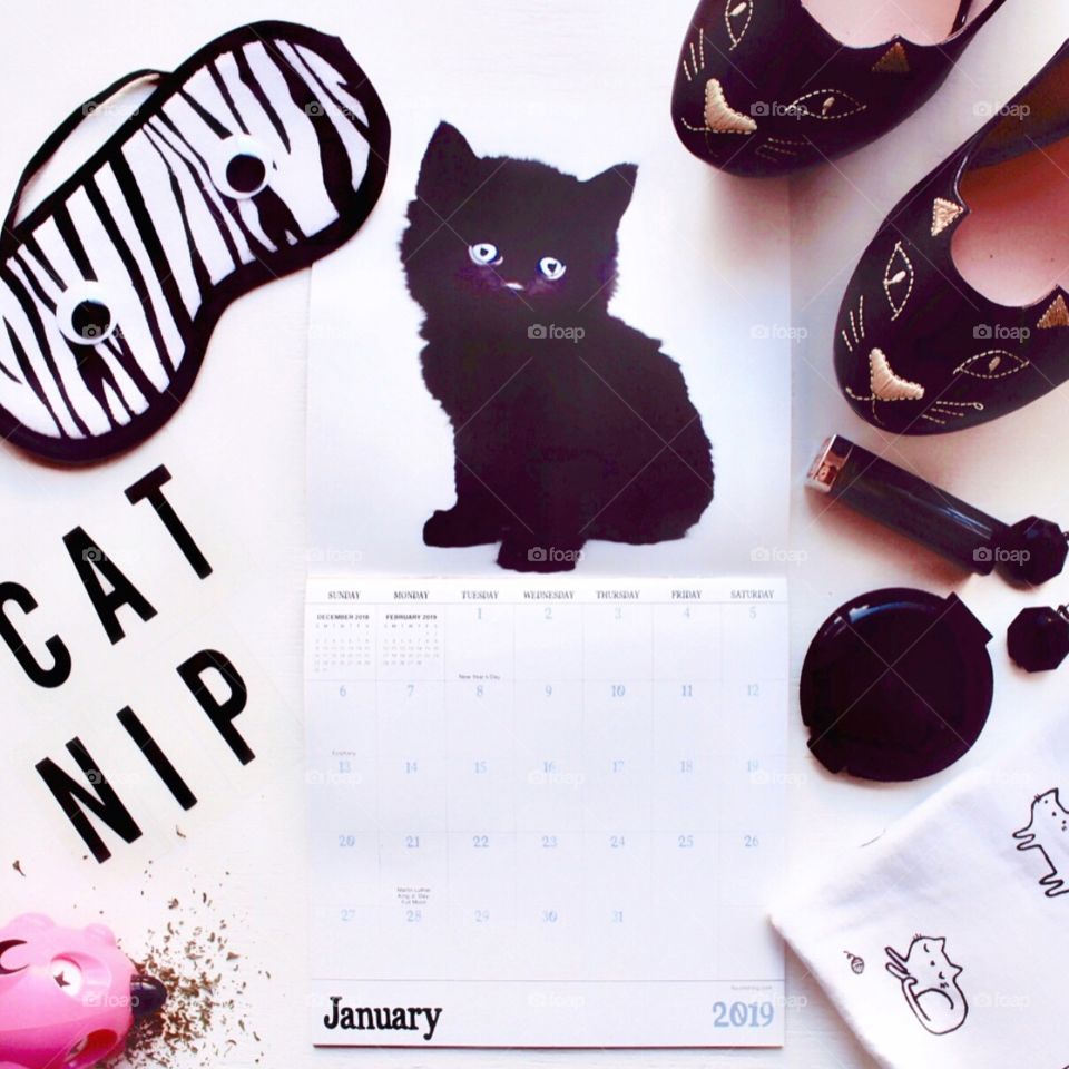 January 2019 calendar for the New Year “kitty love ❤️