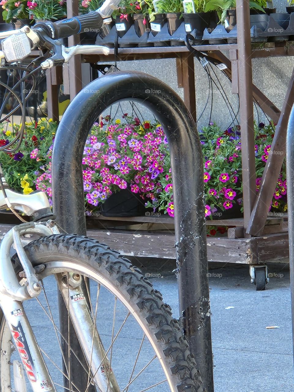 bicycle tire parked in front of colorful market flower display