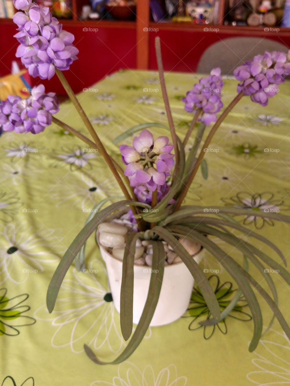 What the pots contain