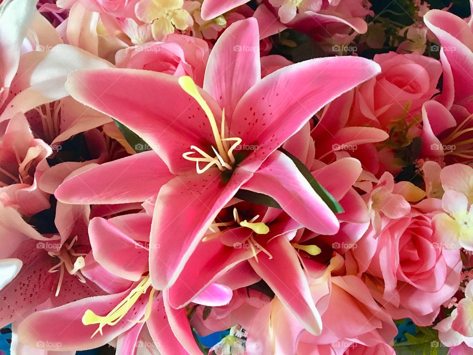 Lilies on the background