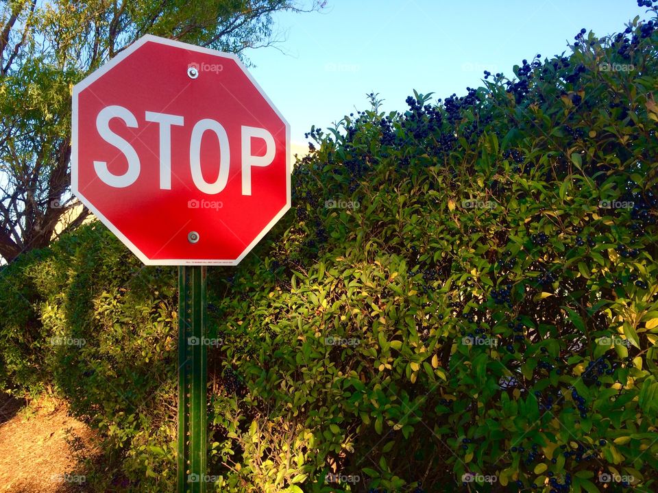 Stop!