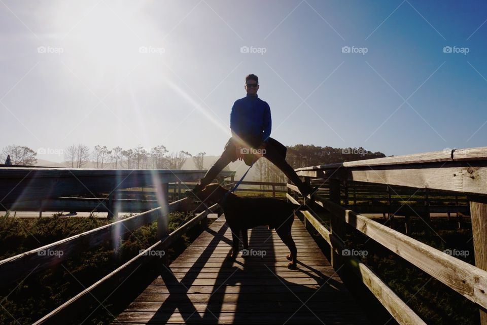 Sun#rays#path#human#dog#trees#nature