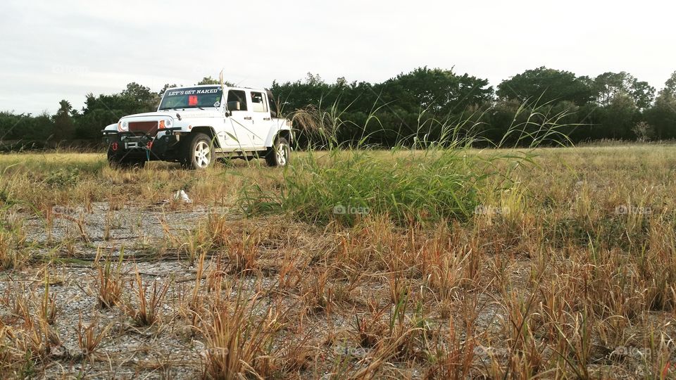 Grassy views from sunset