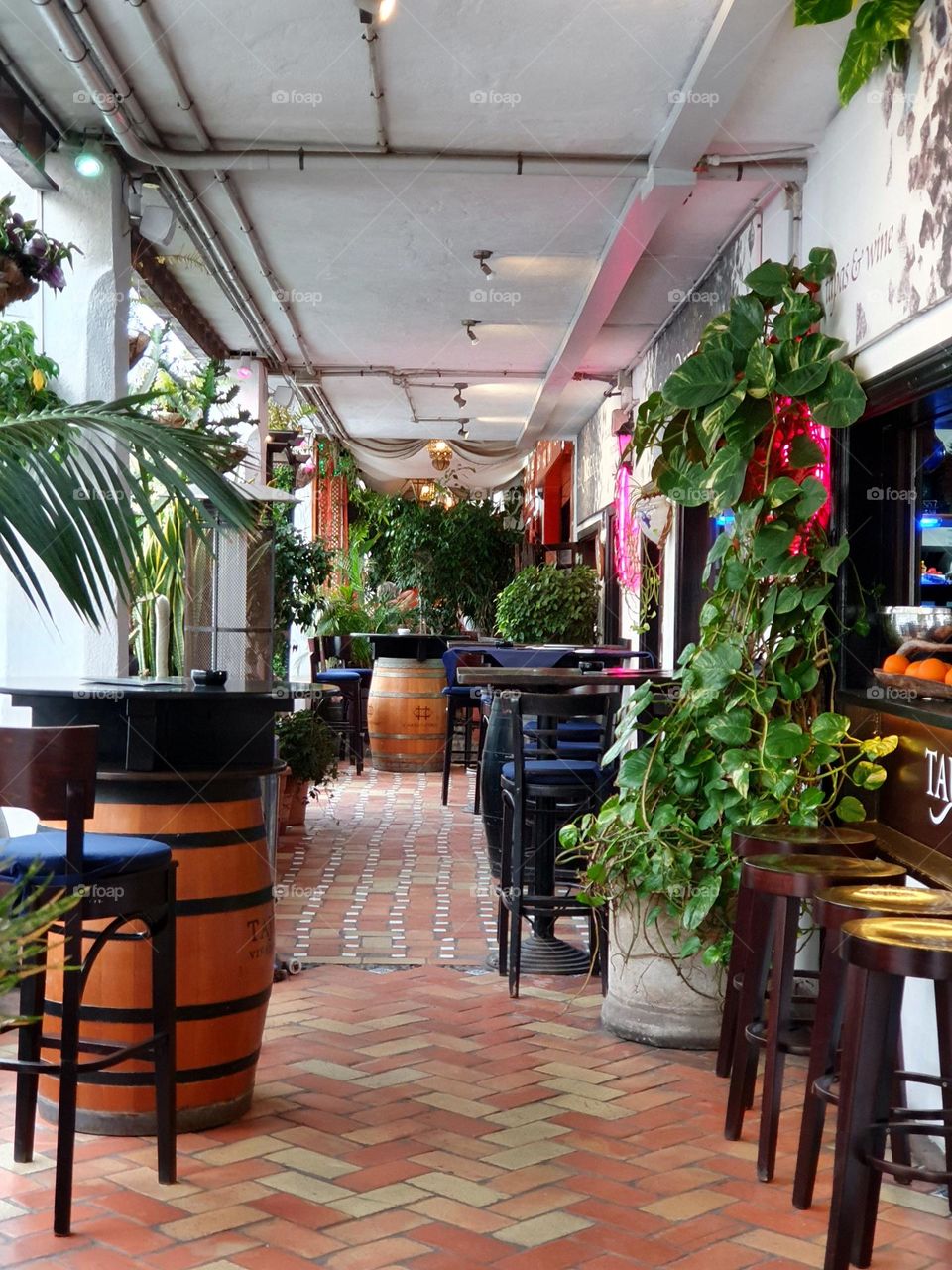 urban nature plants- spanish bar with green plant decoration