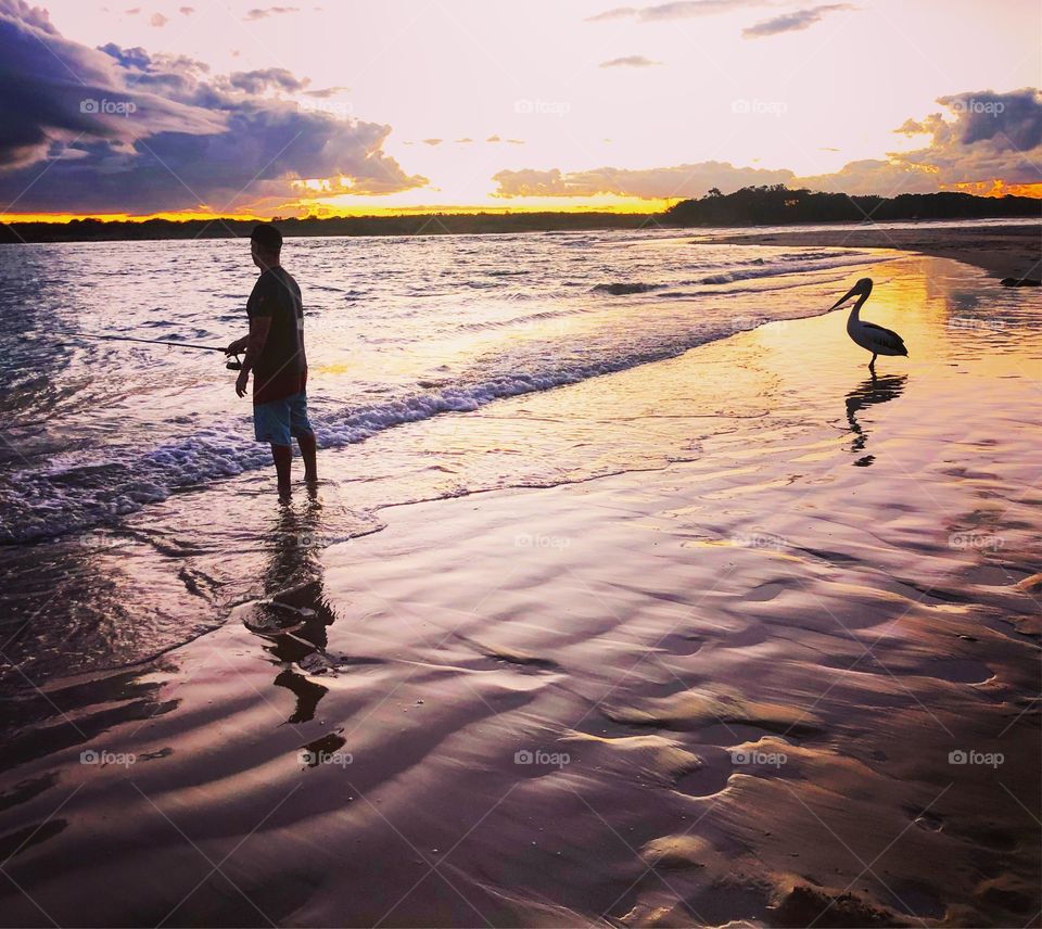 The pelican and the fisherman at the river at sunset purple light
