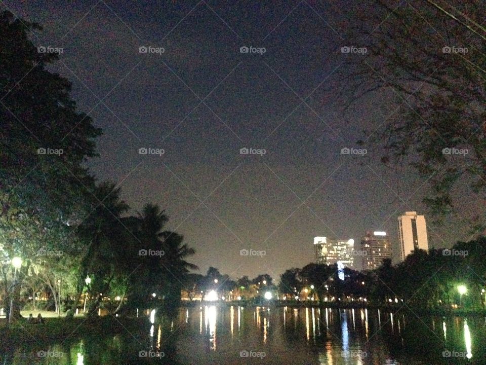 Lake park in city night sky 