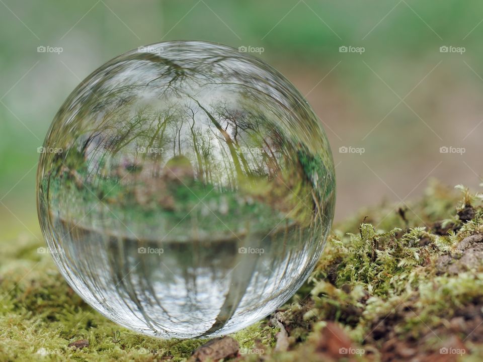 Glassball reflection