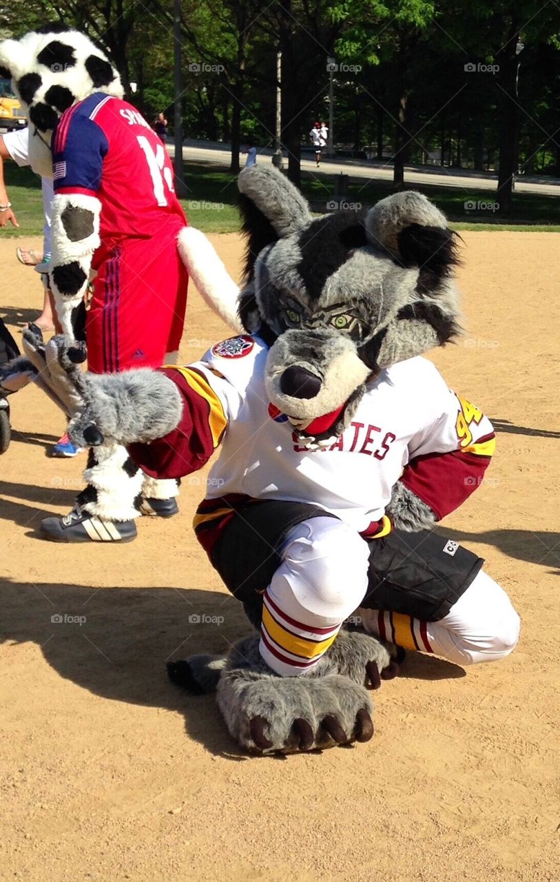Skates The Chicago Wolves Mascot