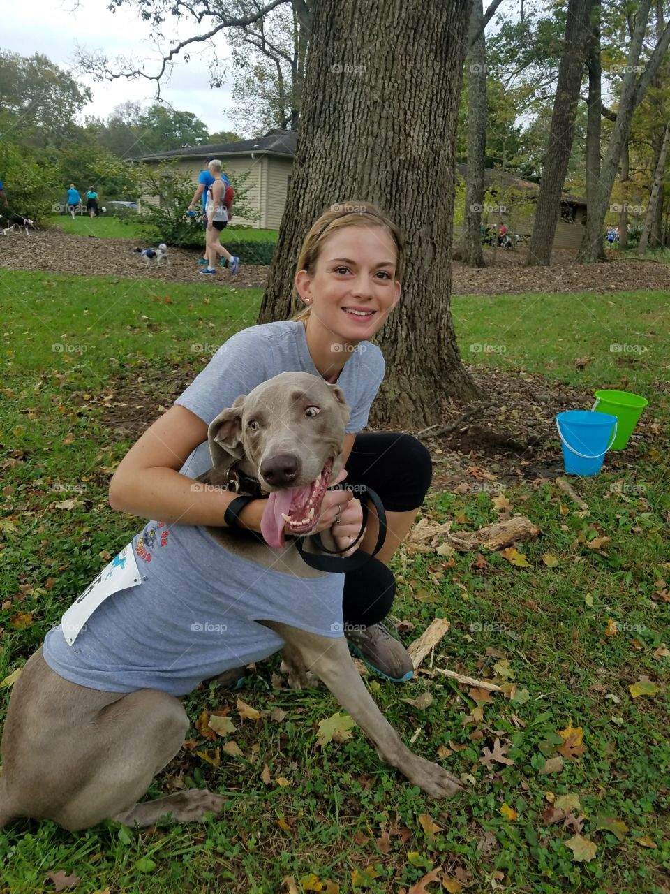 Woman and her weimaraner dog participating in a race