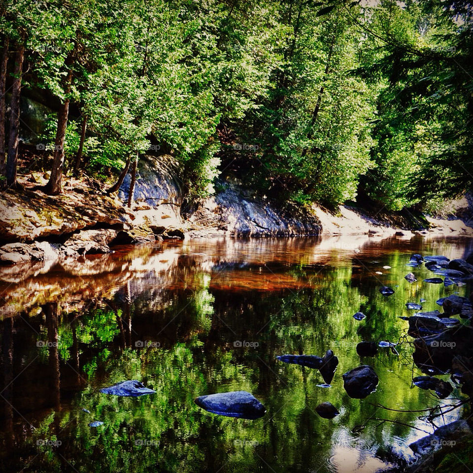 nature trees river rocks by vfritts
