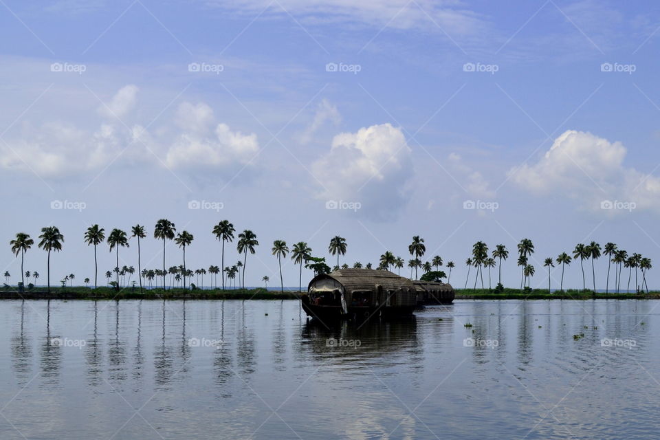 ● Backwaters, Kerela (India)