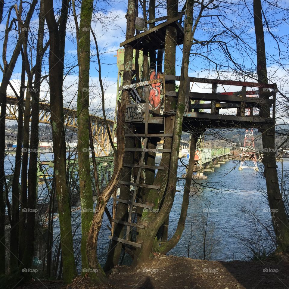 Secret treehouse on Barnet Trail hike in British Columbia 