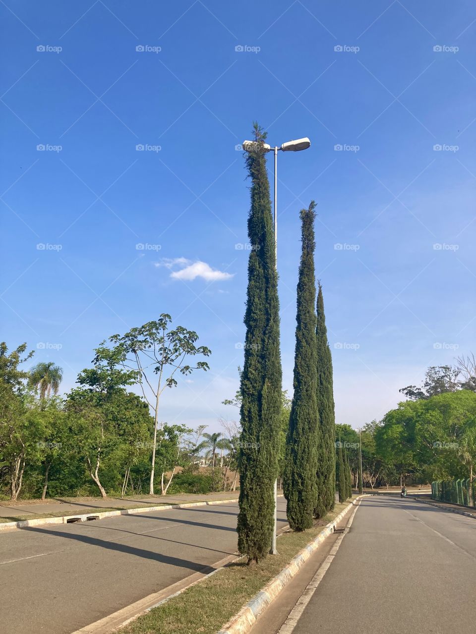 🇺🇸In Itatiba-SP, 4 pm.  All blue “in the front”, with a little green too.  Nature is always very beautiful... / Em Itatiba-SP, 16h. Tudo azul “no front”, com um pouco de verde também. A natureza sempre é muito bela… 🇧🇷