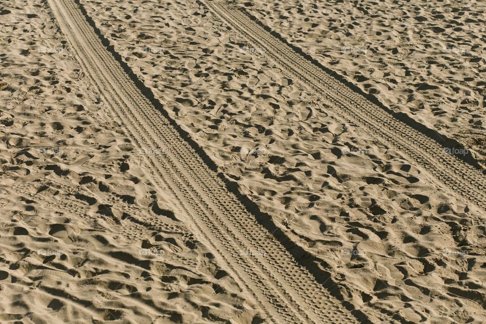 Tracks in the sand 