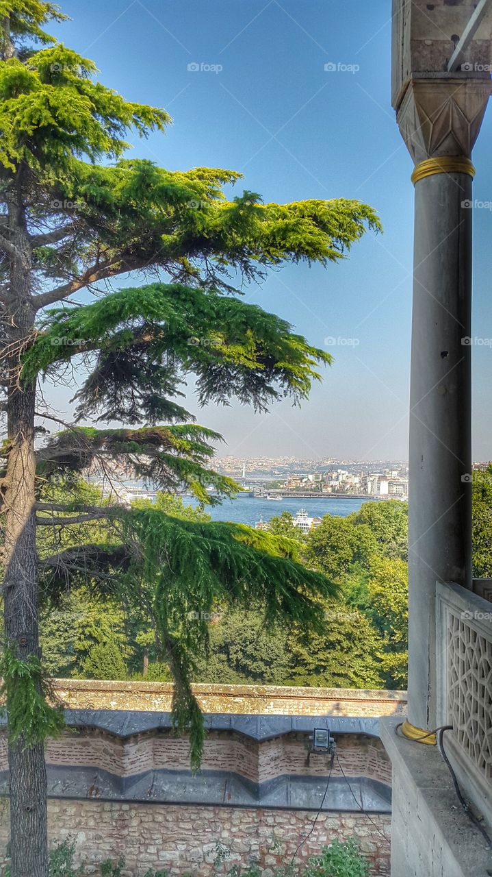 top view istambul. view between trees and old basement of istambul