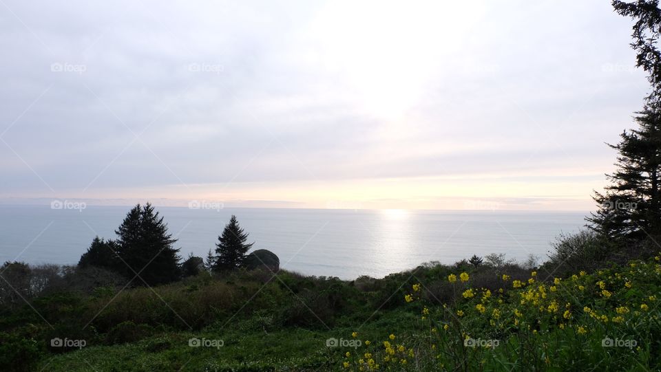 Unusually calm waters of the ocean at dusk