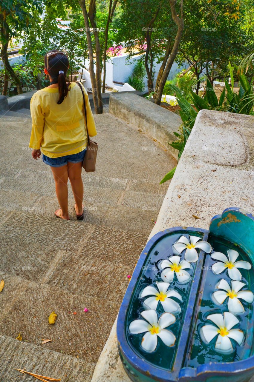 Communing with nature in the city