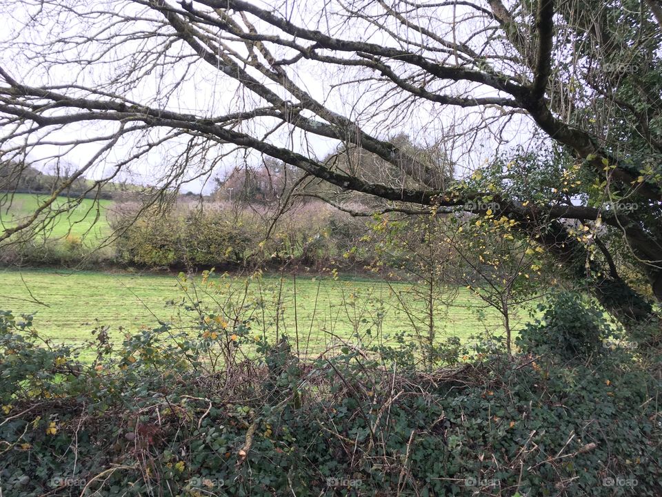 Devon countryside, simply the best.