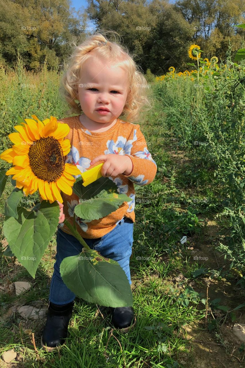 Child, Nature, Summer, Girl, Flower