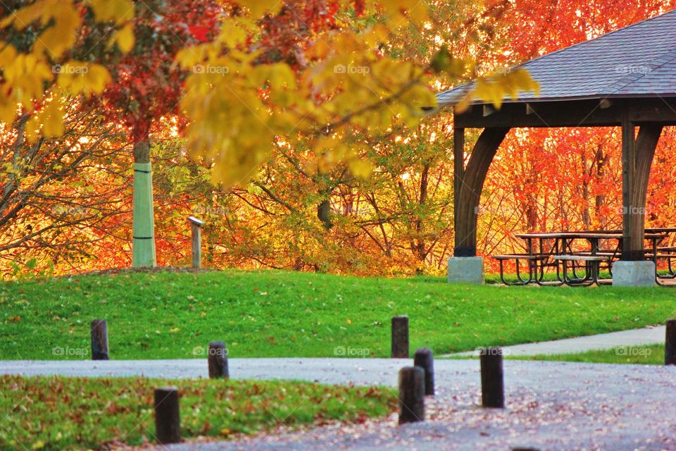 Autumn picnic 