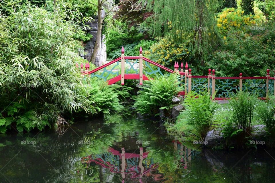 eastern garden. ornamental Chinese garden