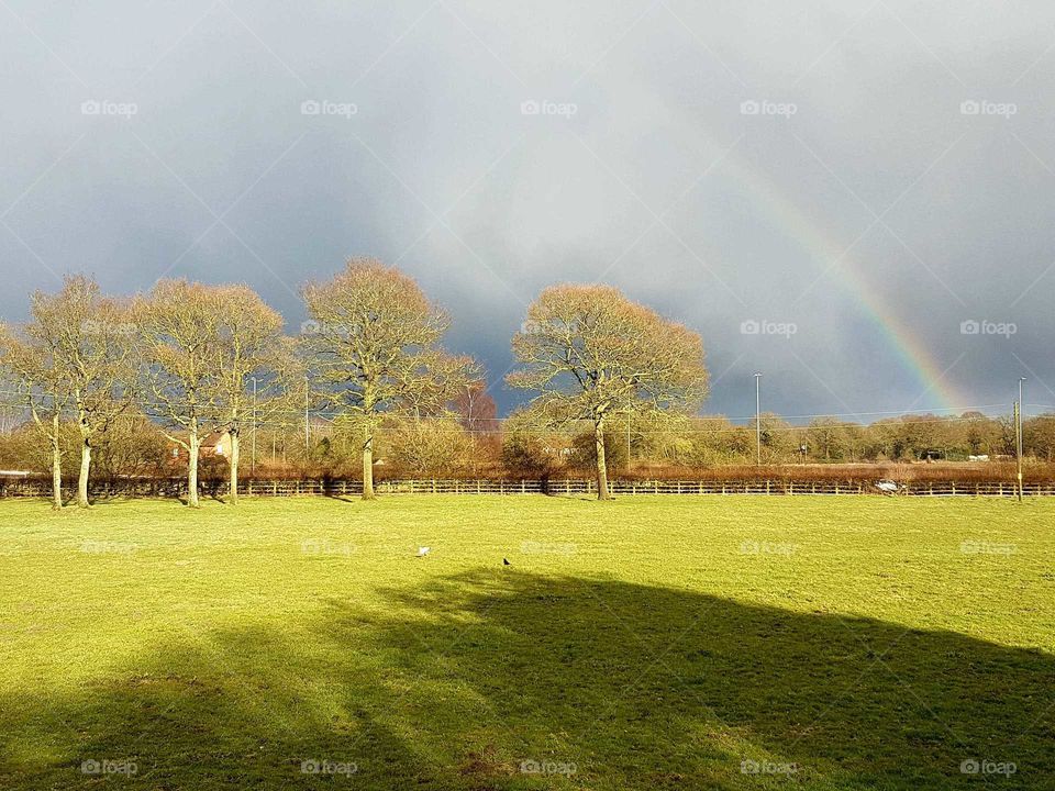landscape with rainbow
