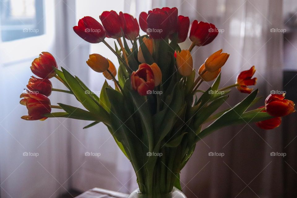 Tulips in a vase