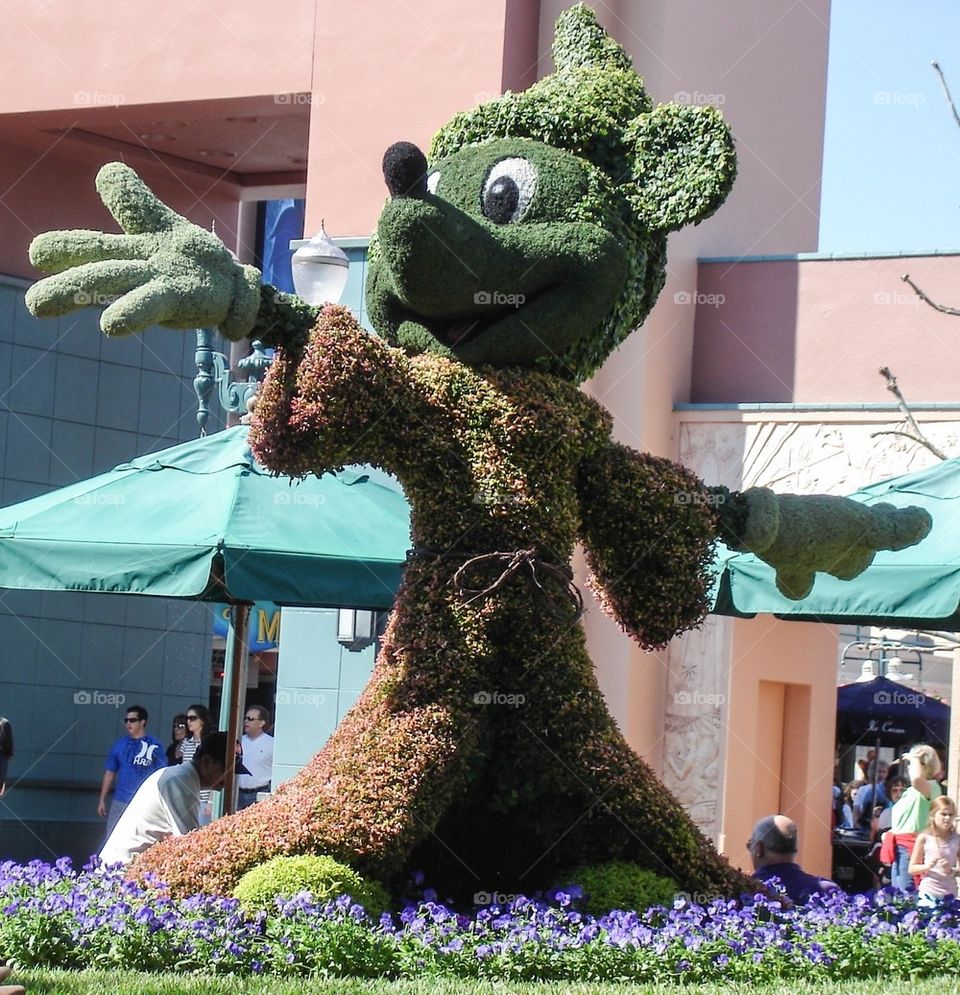 Mickey shrub