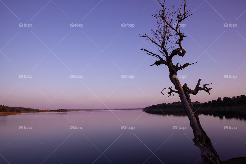 Lake Purple sunset 