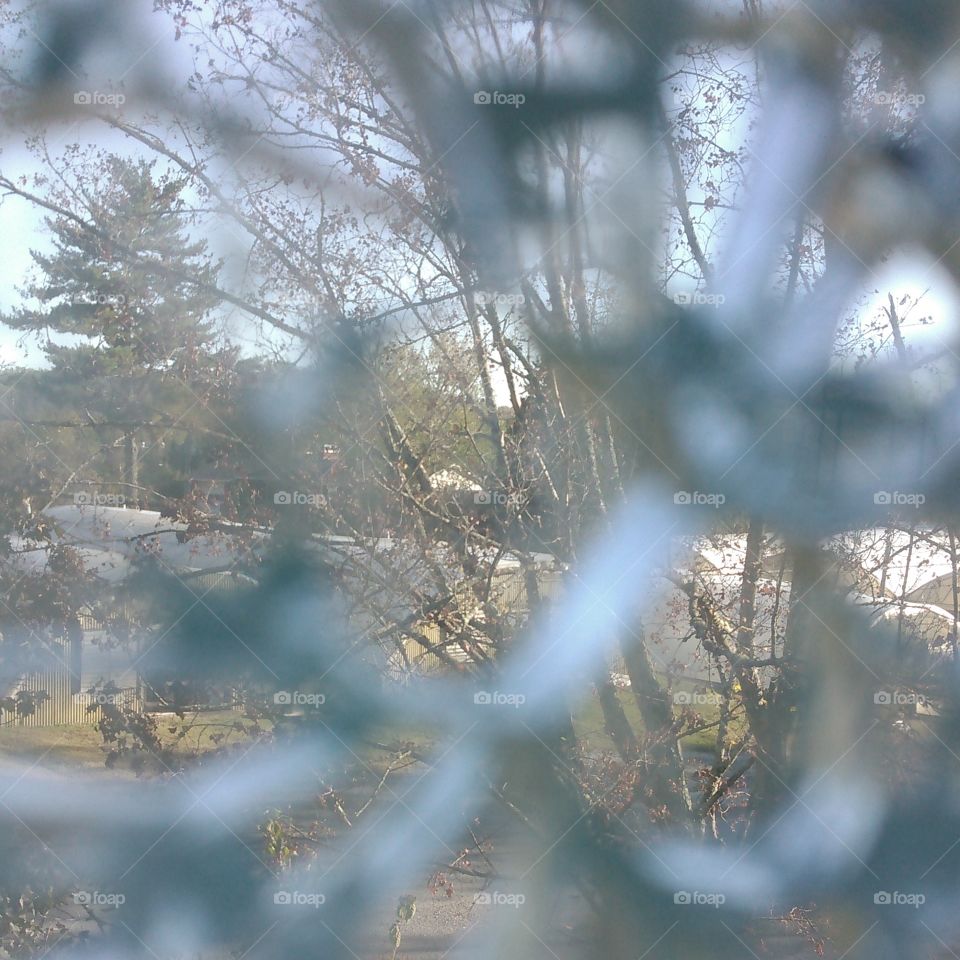 "Fall, Through Shattered Glass."
This is the view of a tree, mid Autumn, through a shattered pane of glass